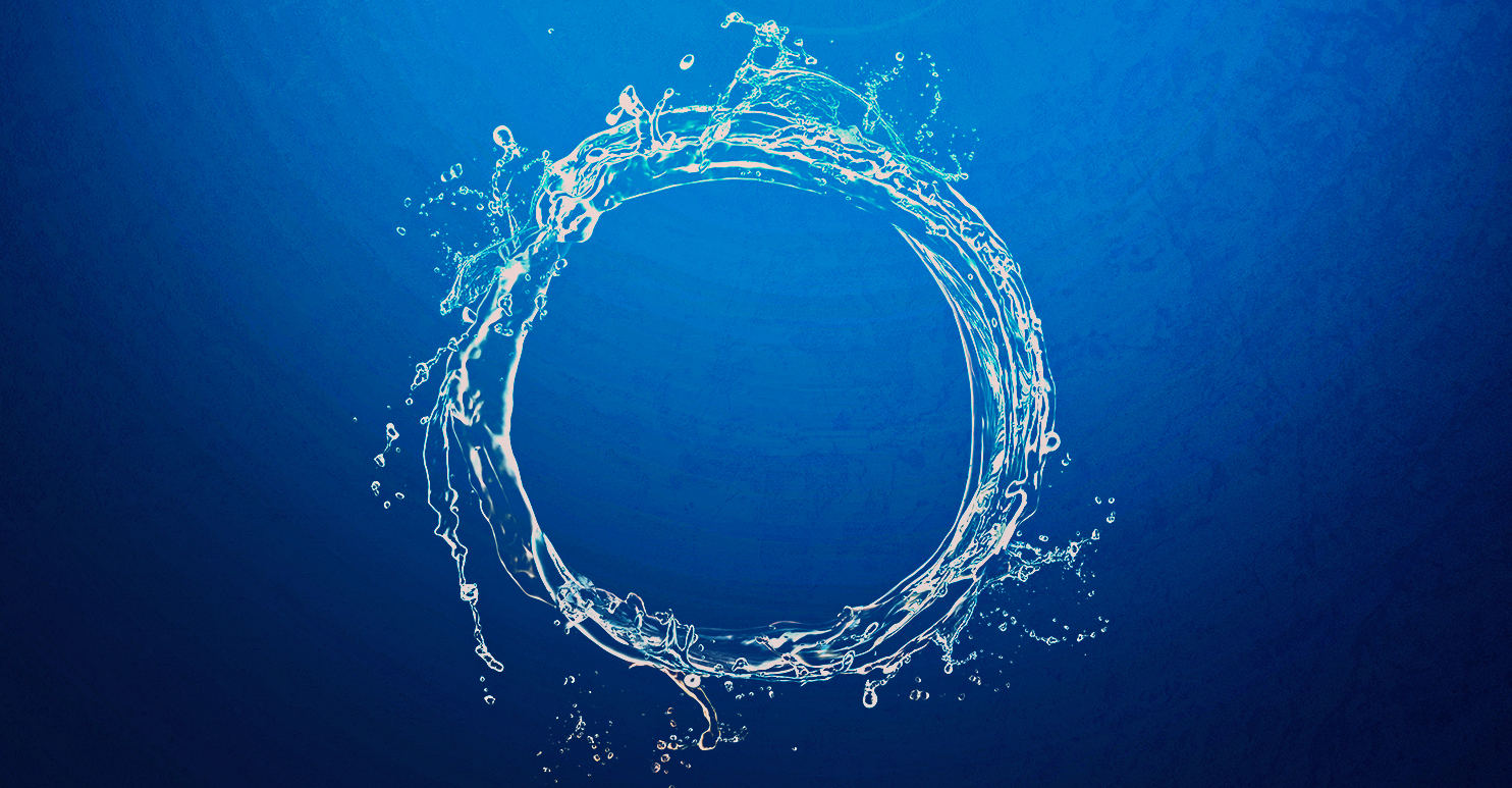 The LIFE FORCE Blueprint